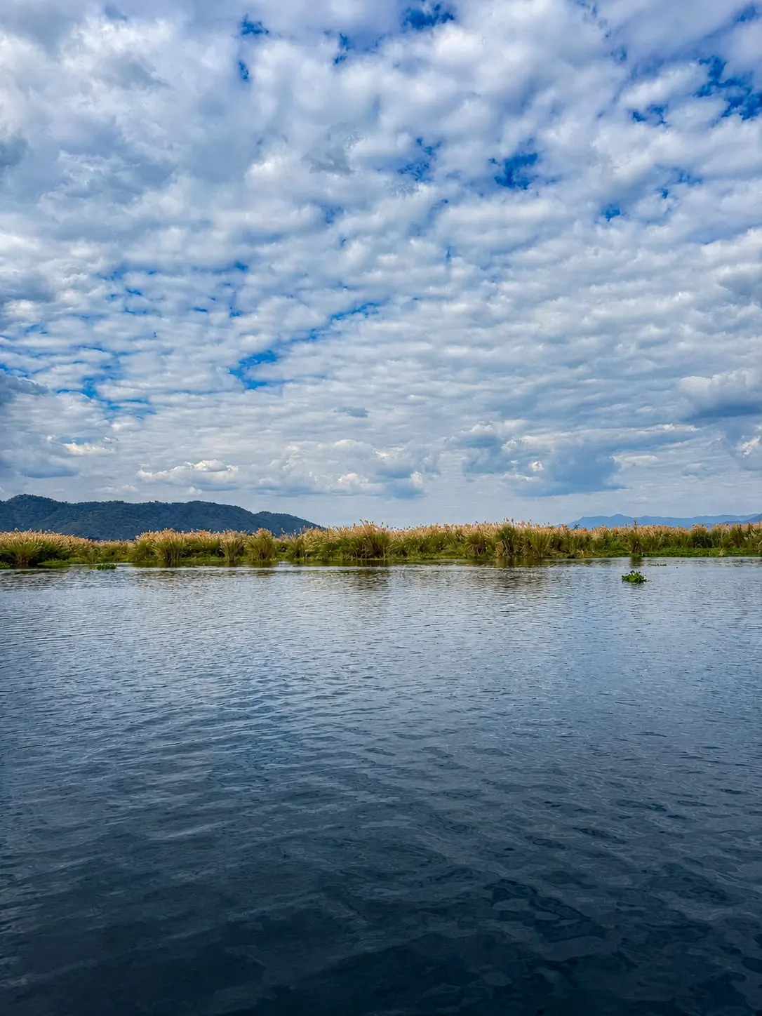 river view potrait
